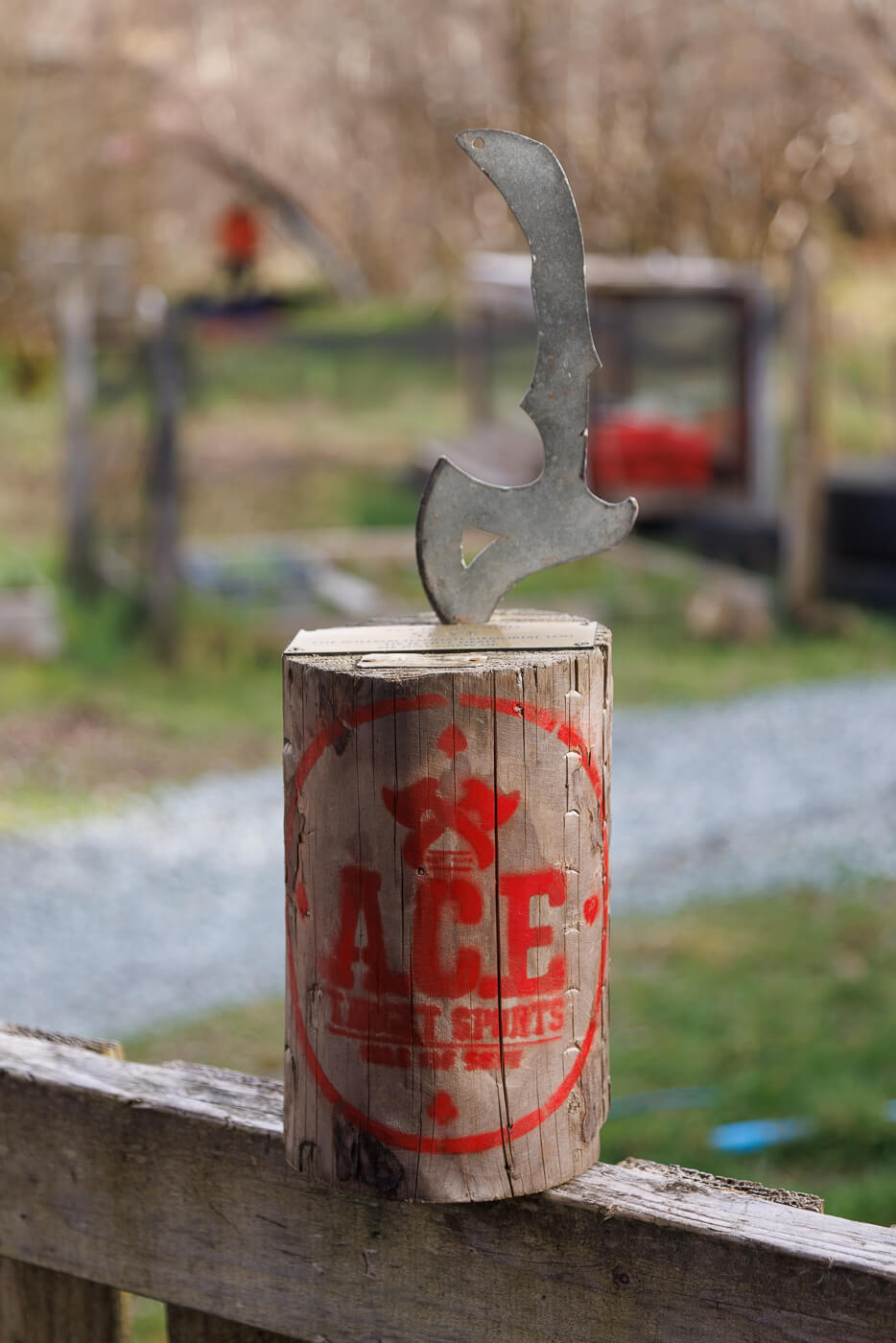 ACE Target Sports Skye - Misc 0J8A2886